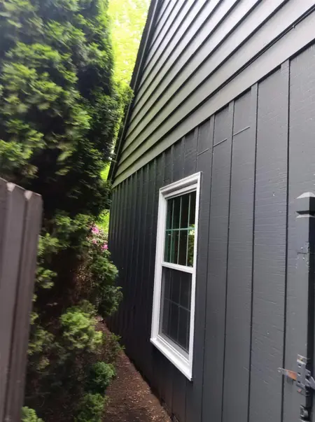 Single white-framed window on dark green board-and-batten siding beside a tall hedge